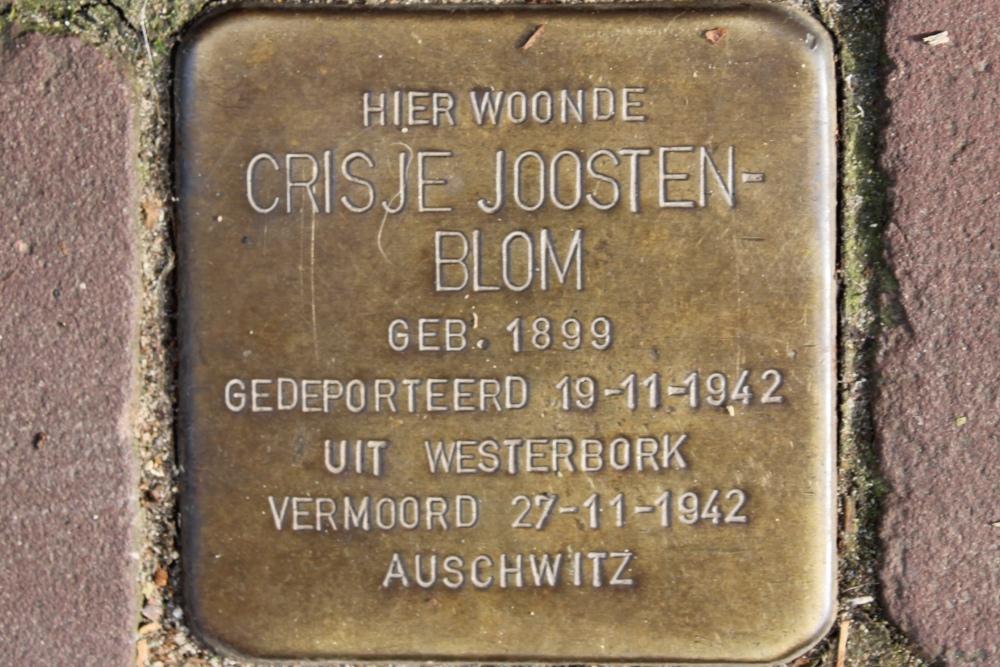 Stolpersteine Boschstraat 39 #5