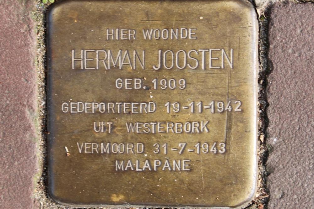 Stolpersteine Boschstraat 39 #6
