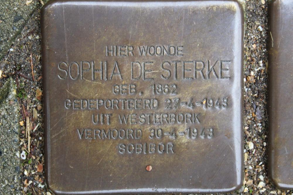 Stolpersteine Raadhuislaan 4 #4
