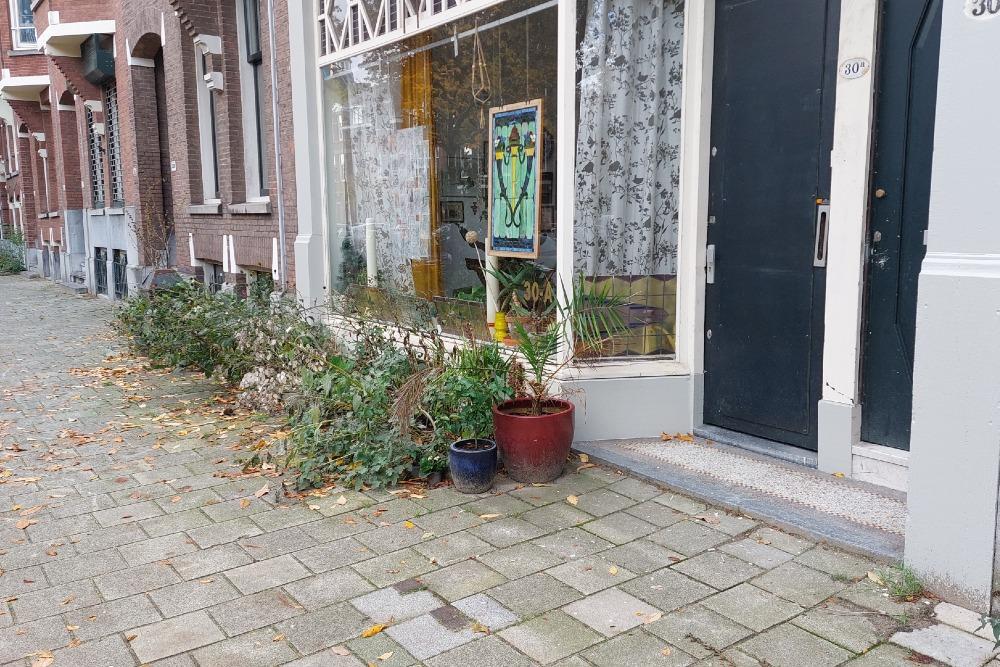 Stumbling Stones Burgemeester Meineszlaan 30b #5