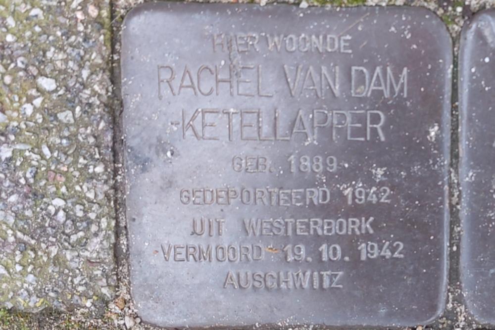Stolpersteine Van der Schellingstraat 24a #2