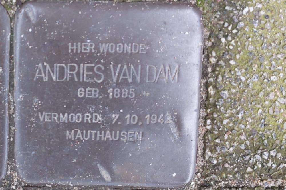 Stolpersteine Van der Schellingstraat 24a #3