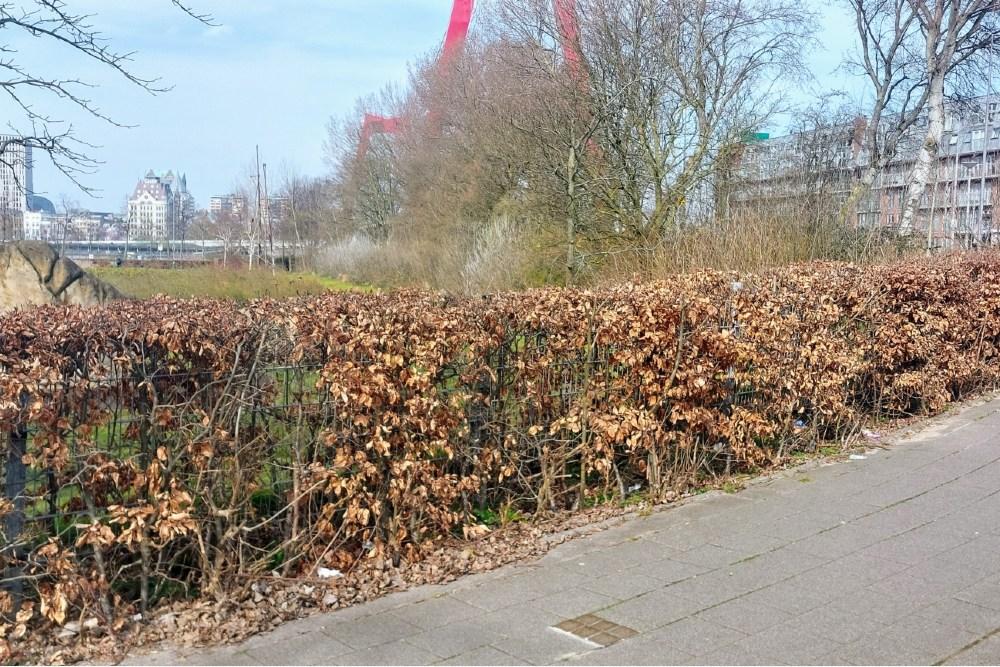Stolpersteine (locatie voormalige woning) Prins Hendrikkade 85a  Rotterdam #5
