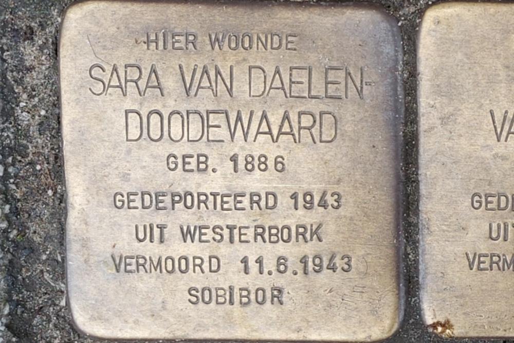 Stolpersteine Proveniersplein 8a #2