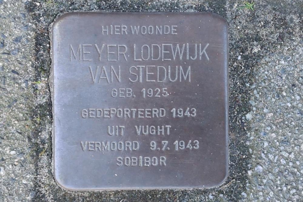 Stolpersteine Burgemeester Meineszlaan 38b #5