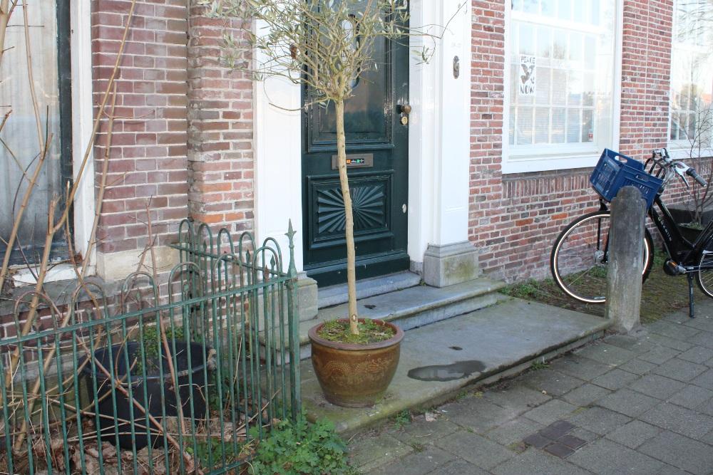 Stolpersteine Hoogstraat 38 #7