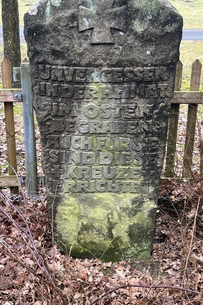 Polish War Cemetery Thuine #4