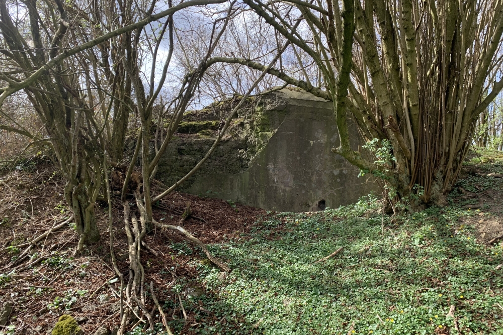 Observatiebunker VM29 ter #1