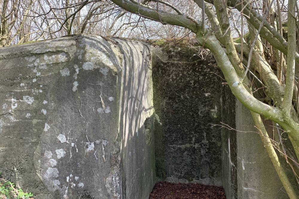 Observatiebunker VM29 ter #5