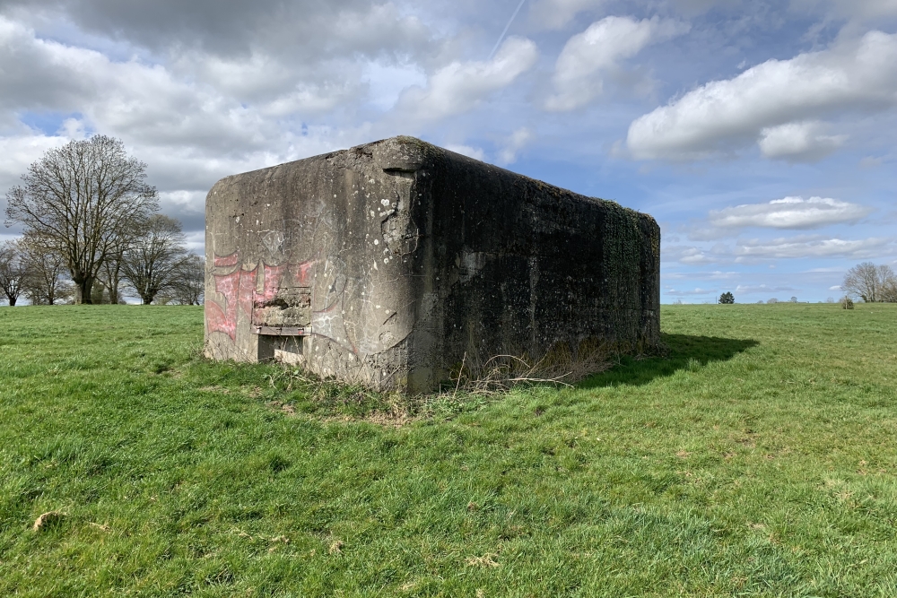 Verdedigingsbunker VM22 #4