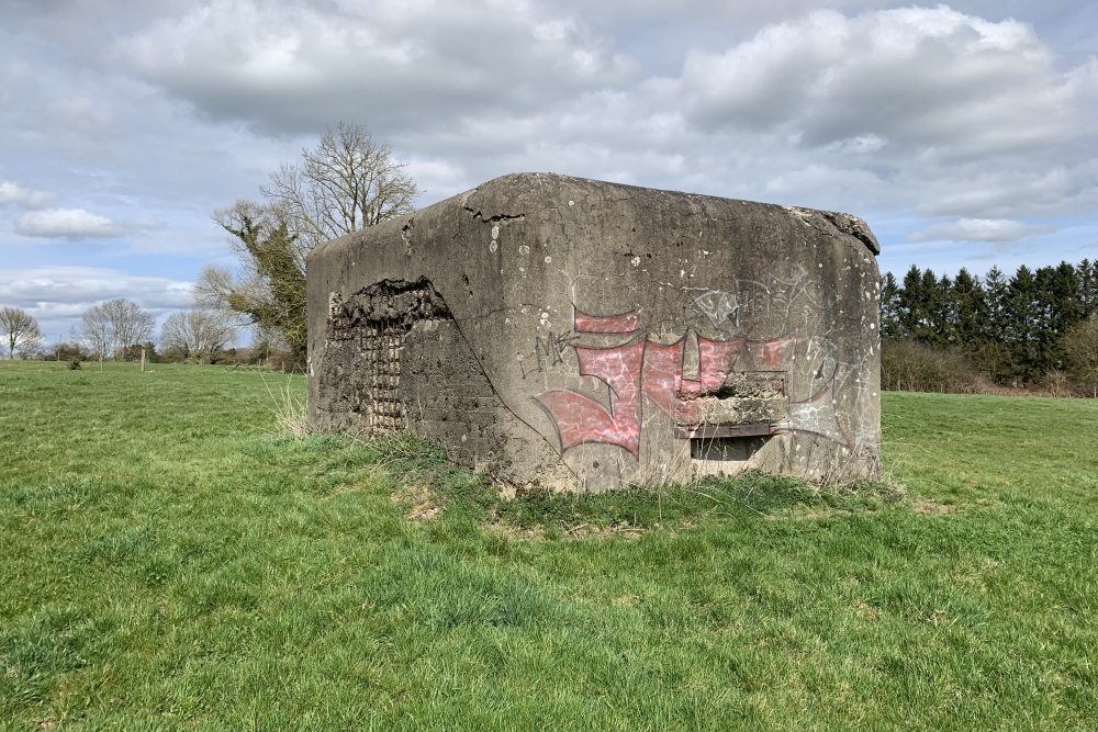 Verdedigingsbunker VM22 #5