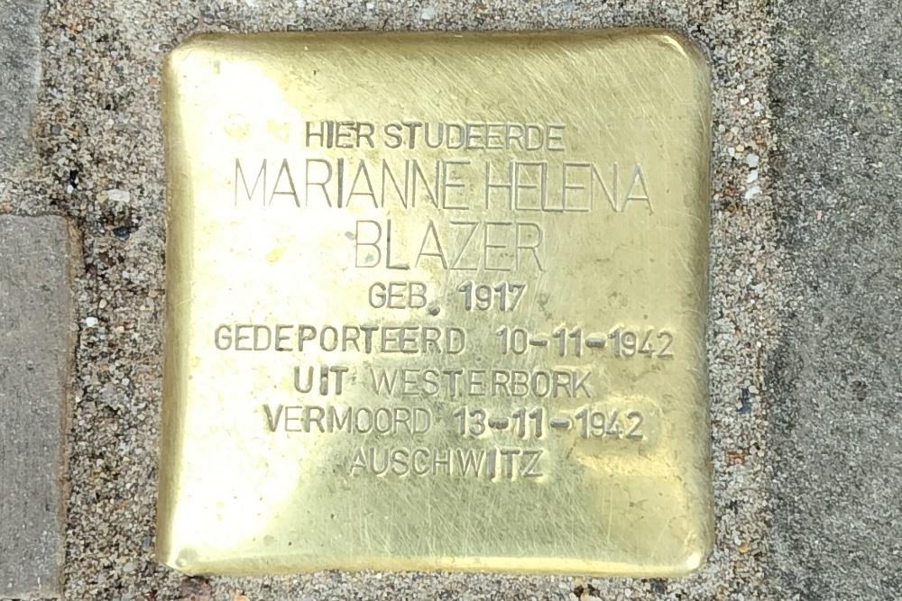 Stolpersteine Domplein 29 #2