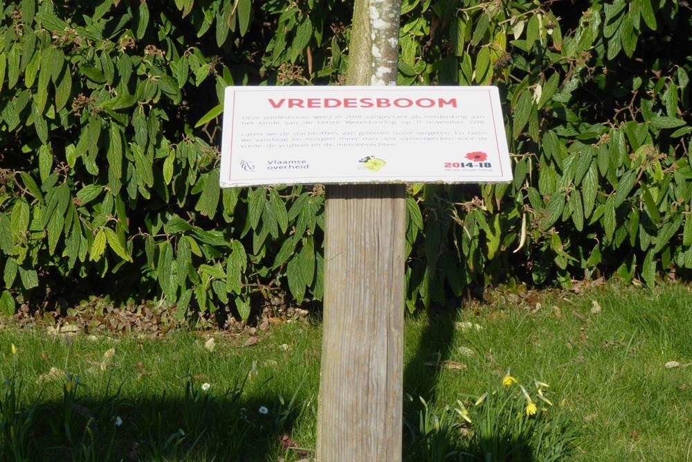 Vredesboom Gijzenzele #2