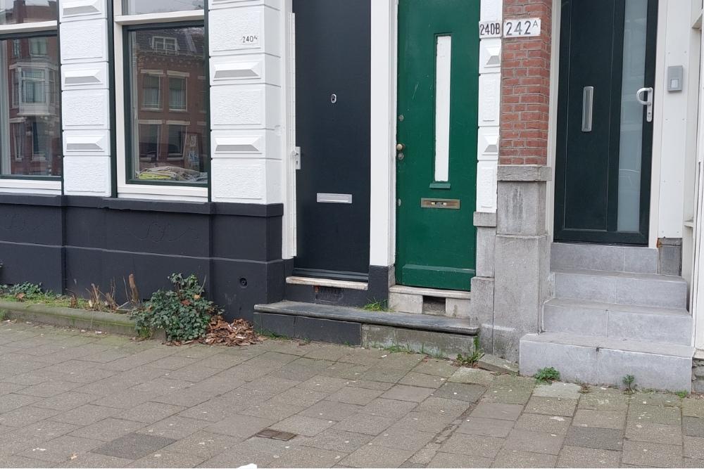 Stolpersteine Bergweg 240b #6