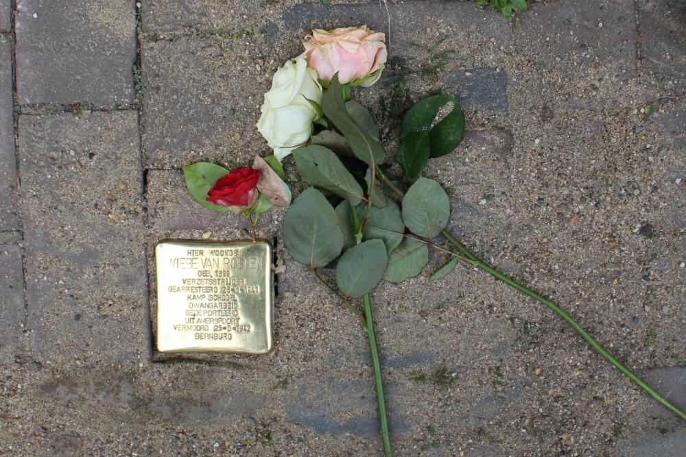 Stumbling Stone Springweg 63 #1