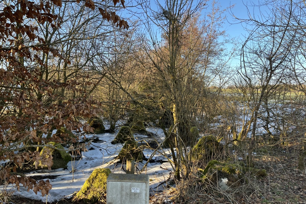 Westwall - Tank Barrier Kehr #2