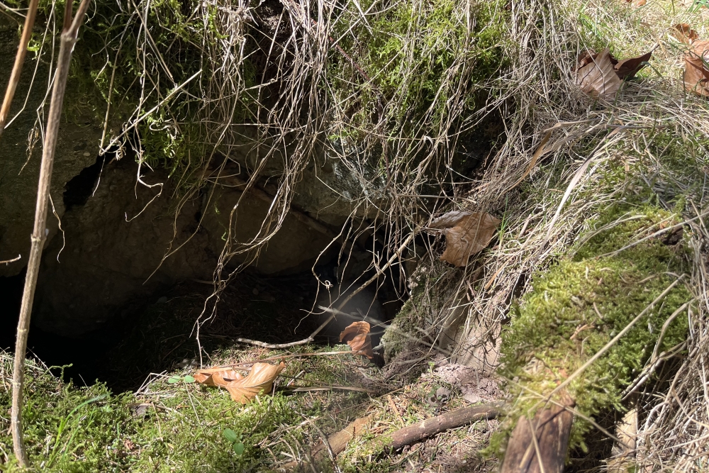 Westwall – Restant Bunker Roth bei Prüm #2