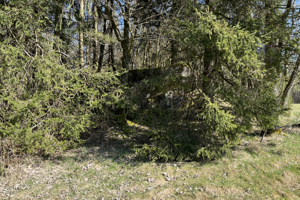 Westwall - Remains Bunker Roth bei Prüm