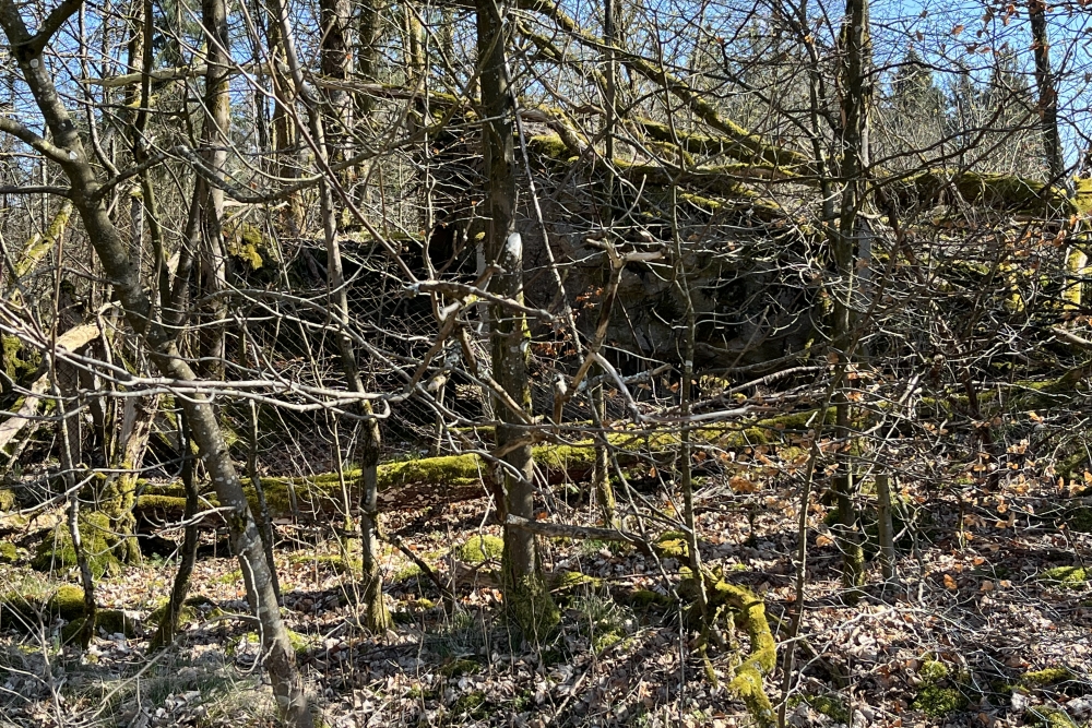 Westwall - Remains Bunker Roth bei Prüm #1