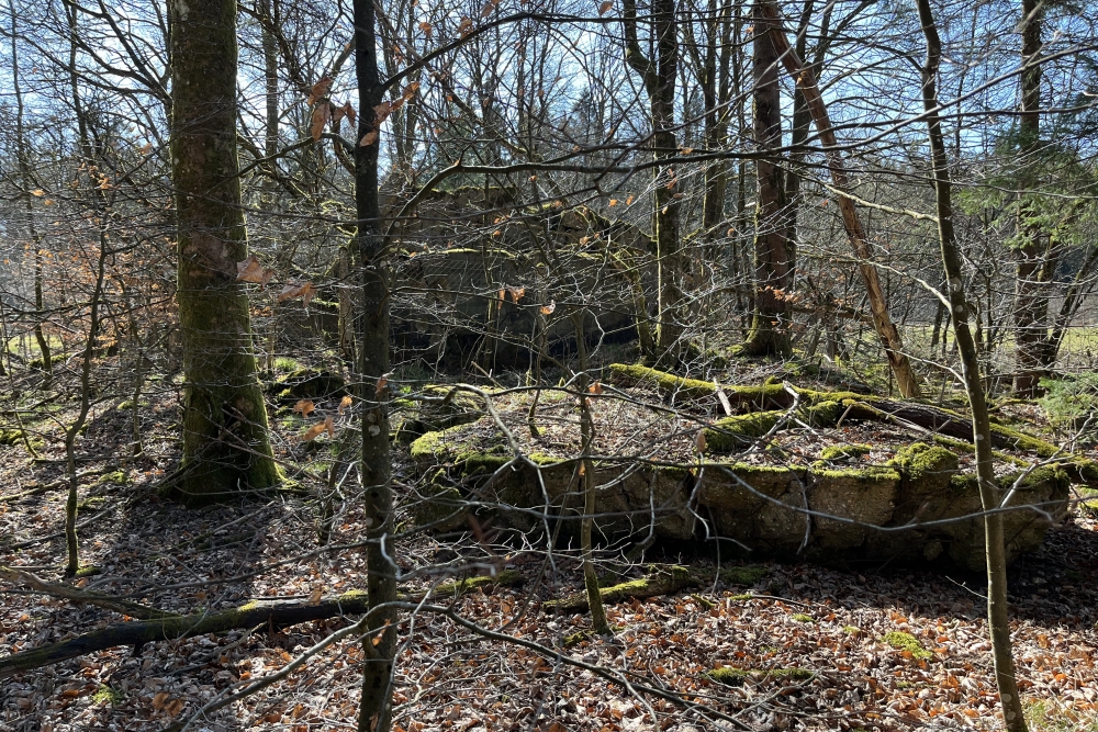 Westwall - Remains Bunker Roth bei Prüm #4