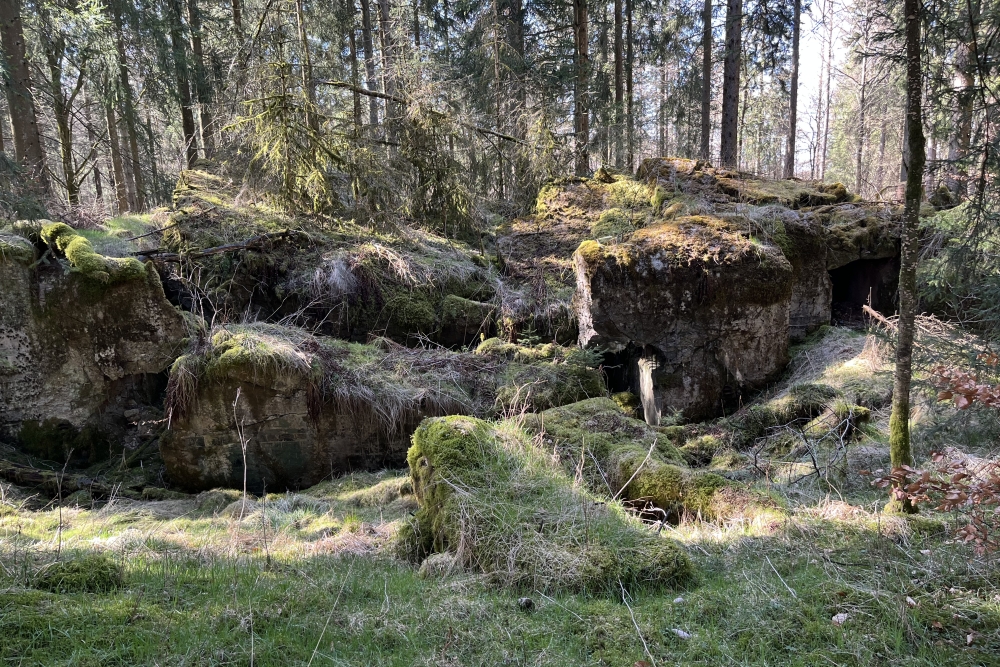 Westwall - Remains Bunker Roth bei Prüm #1