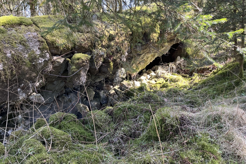 Westwall - Remains Bunker Roth bei Prüm #4