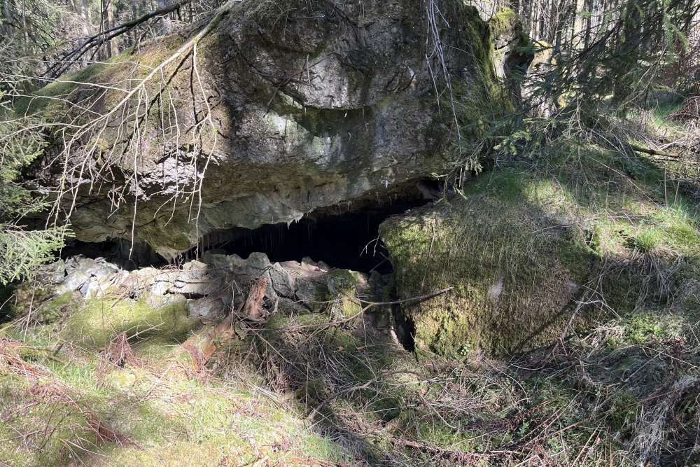 Westwall - Remains Bunker Roth bei Prüm #5