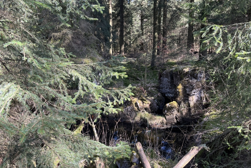 Westwall – Restant Bunker Roth bei Prüm #2