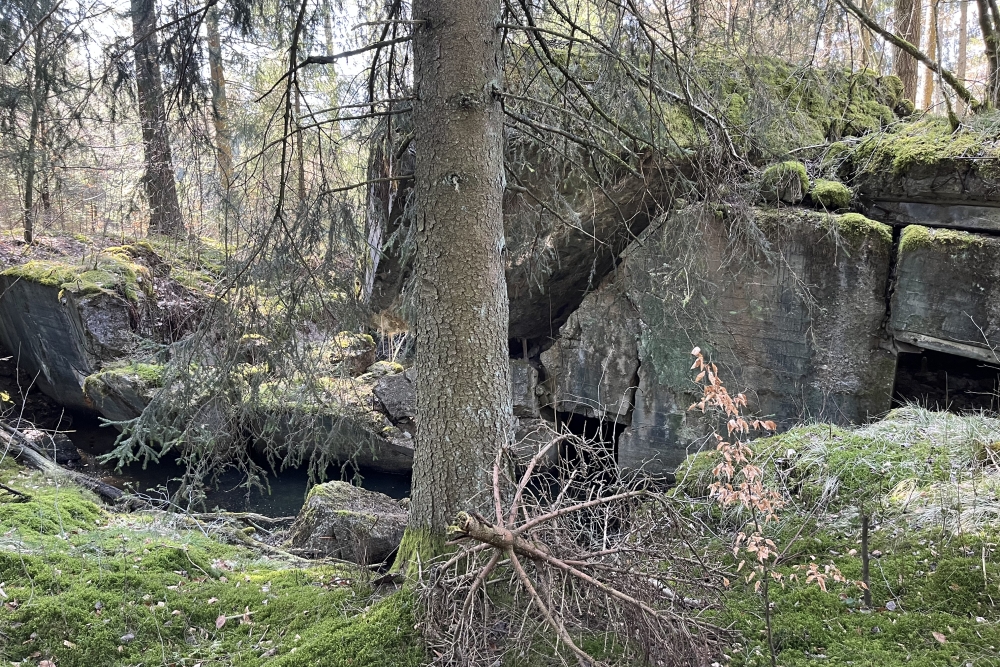 Westwall – Restant Bunker Roth bei Prüm #3