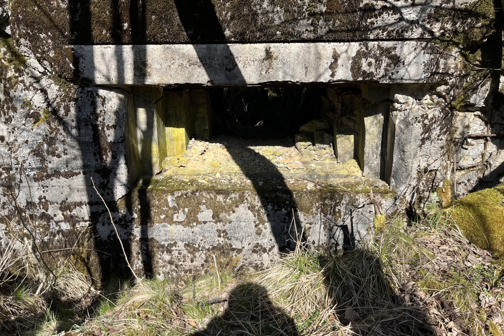Westwall - Remains Bunker Roth bei Prüm #2