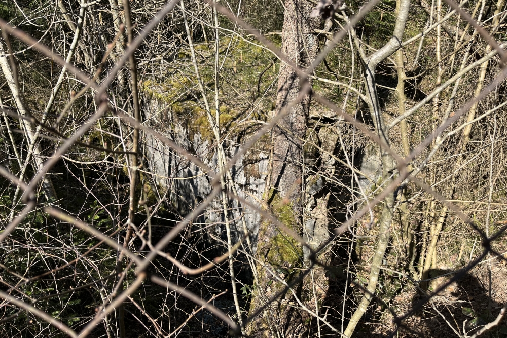 Westwall - Remains Bunker Roth bei Prüm #4