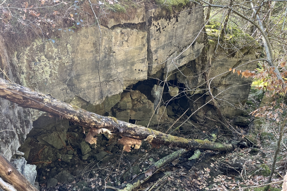 Westwall - Remains Bunker Roth bei Prüm #5