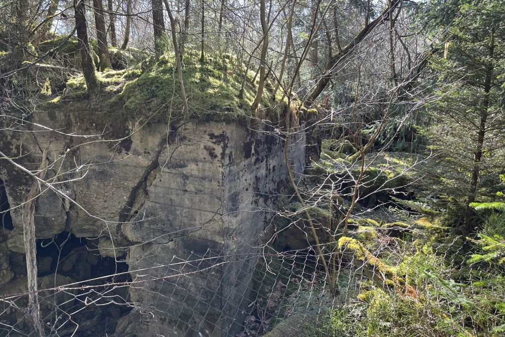 Westwall - Remains Bunker Roth bei Prüm #6