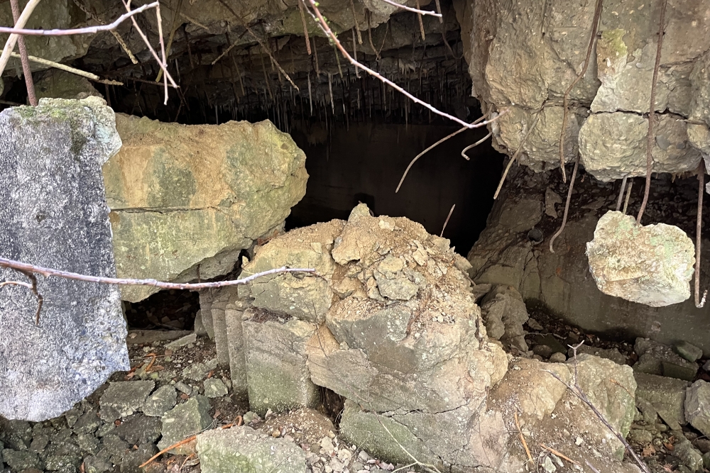 Westwall - Remains Bunker Roth bei Prüm #7