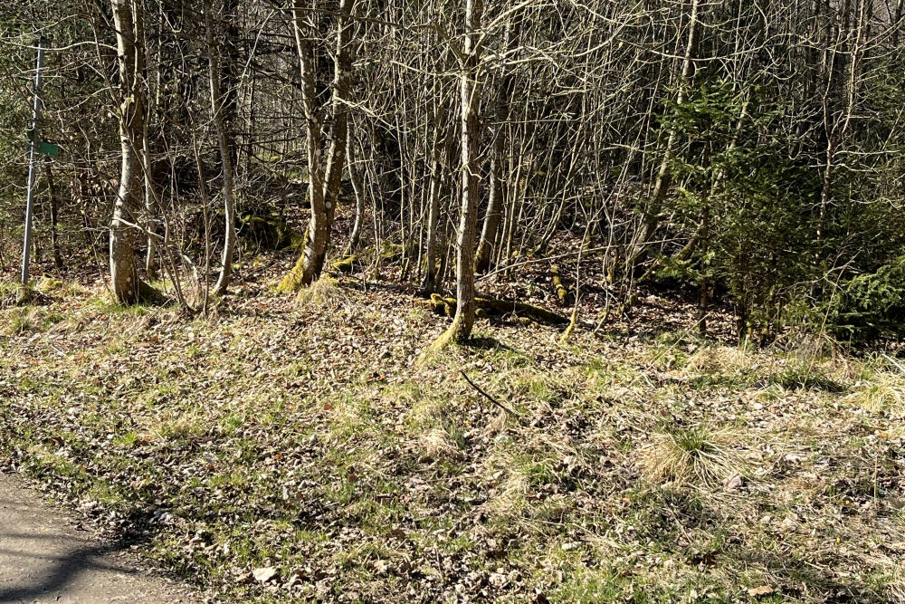Westwall - Remains Company Headquarters Bunker Roth bei Prüm #3