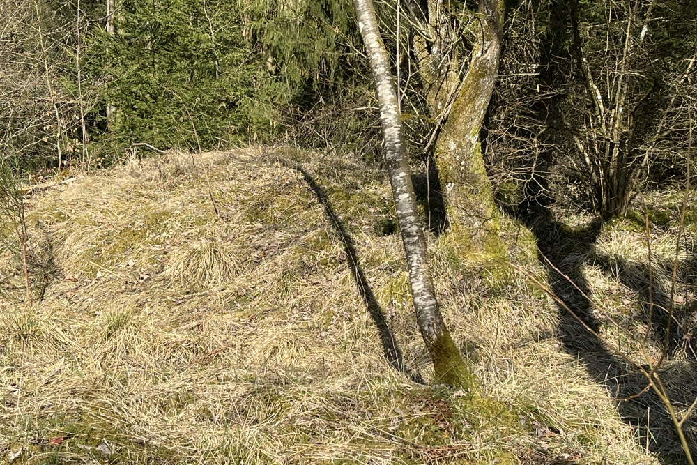 Westwall - Remains Bunker Roth bei Prüm #2