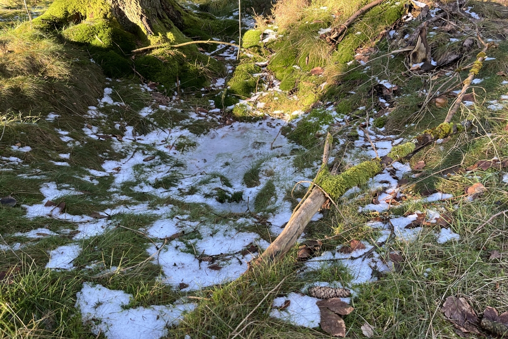 Westwall - Remains Trenches  #1