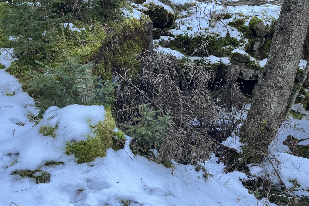 Westwall – Restant Bunker Roth bei Prüm #2