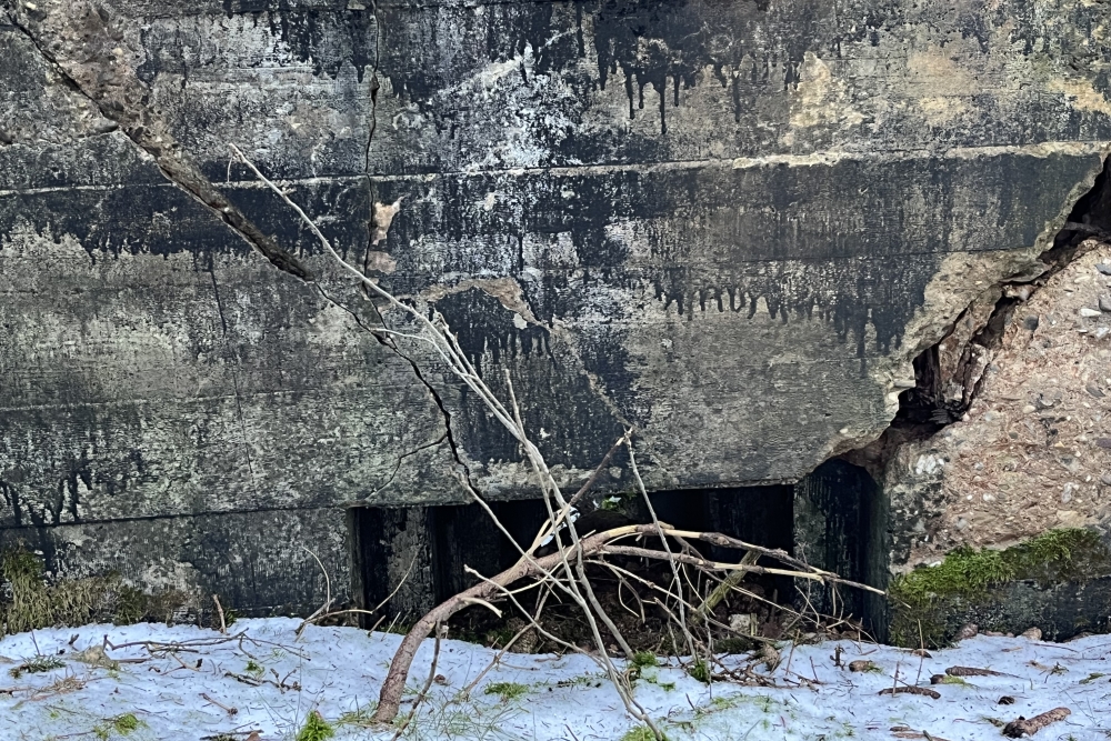 Westwall - Remains Bunker Roth bei Prüm #3