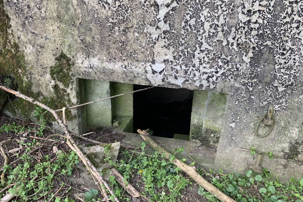 Bunker C - Advanced Position Hombourg #2