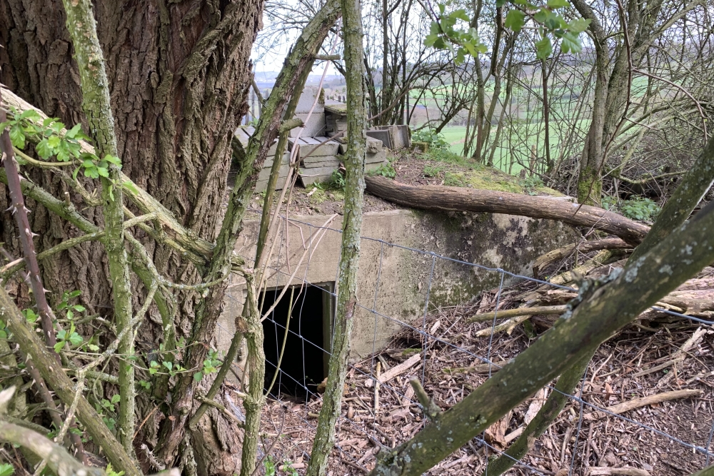 Bunker C - Advanced Position Hombourg #4
