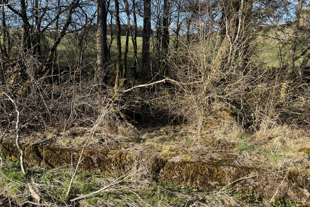 Westwall - Tank Barrier Landgraben  #2