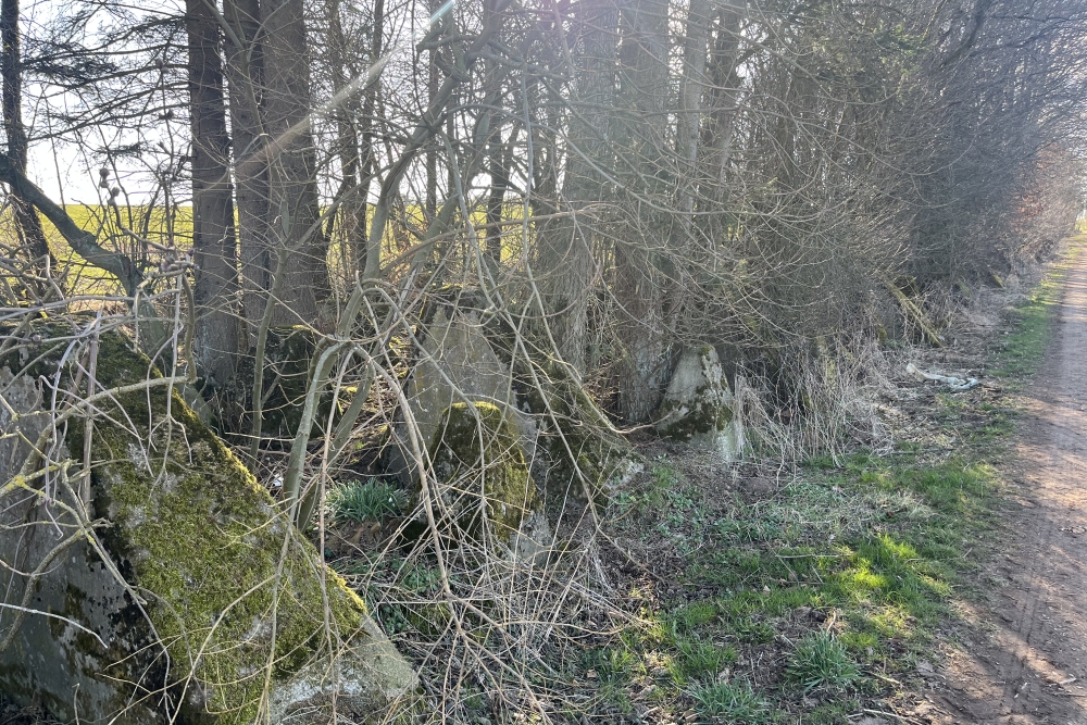 Westwall - Tank Barrier Landgraben  #4