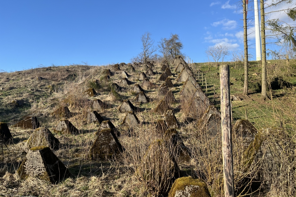 Westwall - Tank Barrier Landgraben 