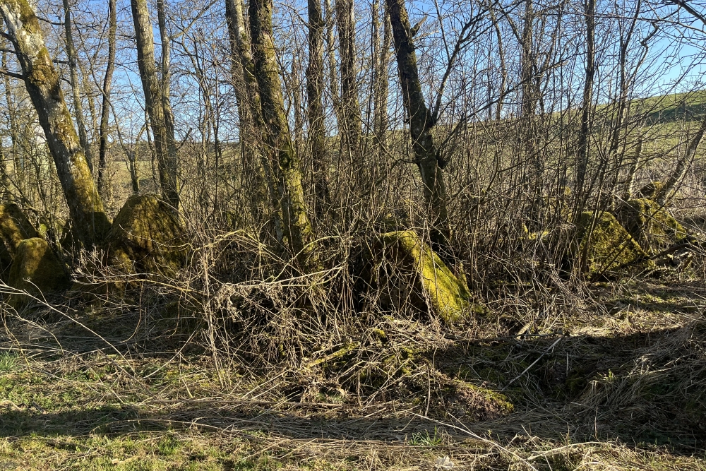 Westwall - Tank Barrier Landgraben  #2