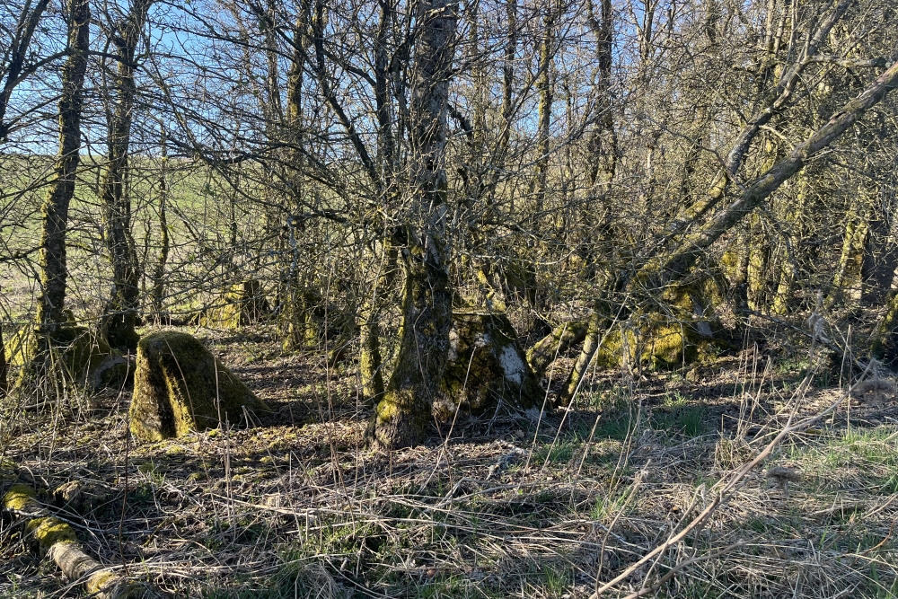 Westwall - Tank Barrier Landgraben  #3