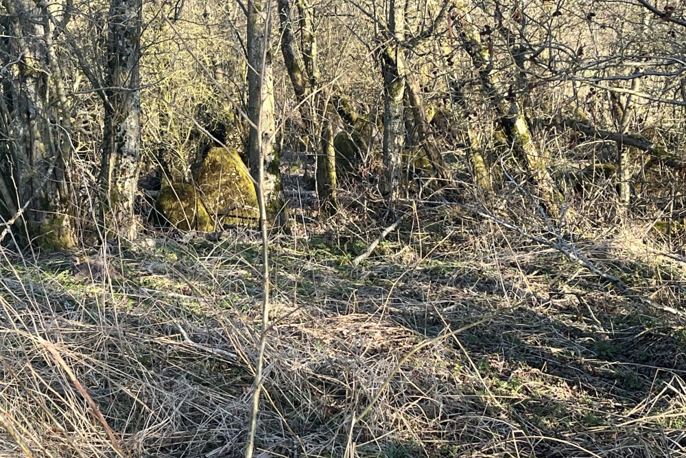 Westwall - Tank Barrier Kehr 
