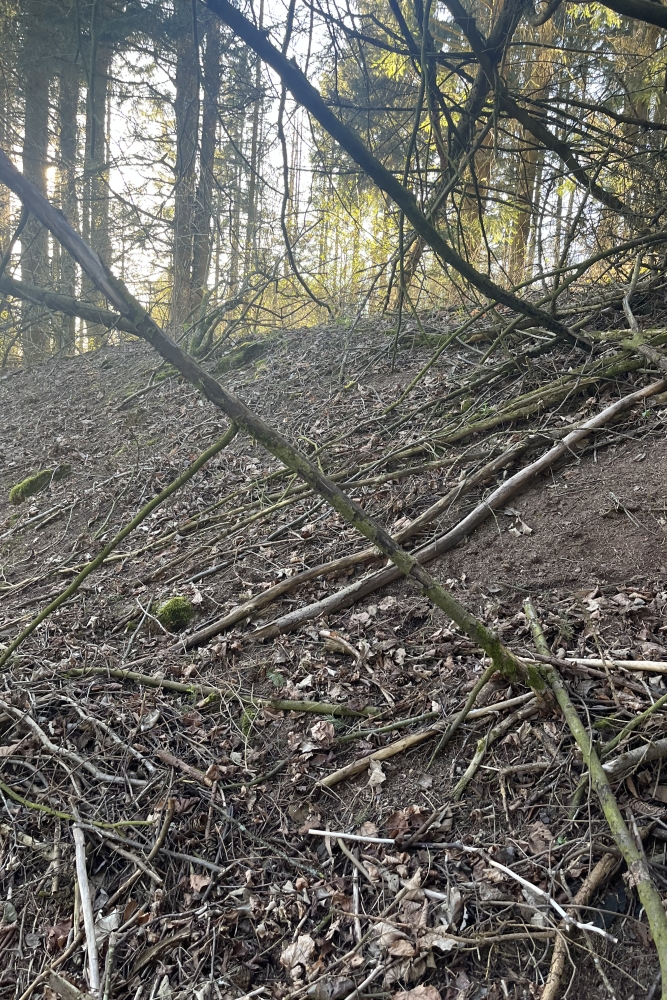 Westwall - Remains Bunker Kehr