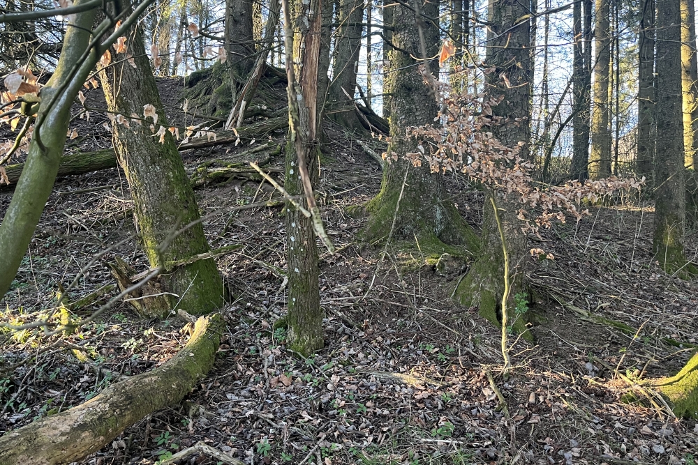 Westwall - Remains Bunker Kehr #2