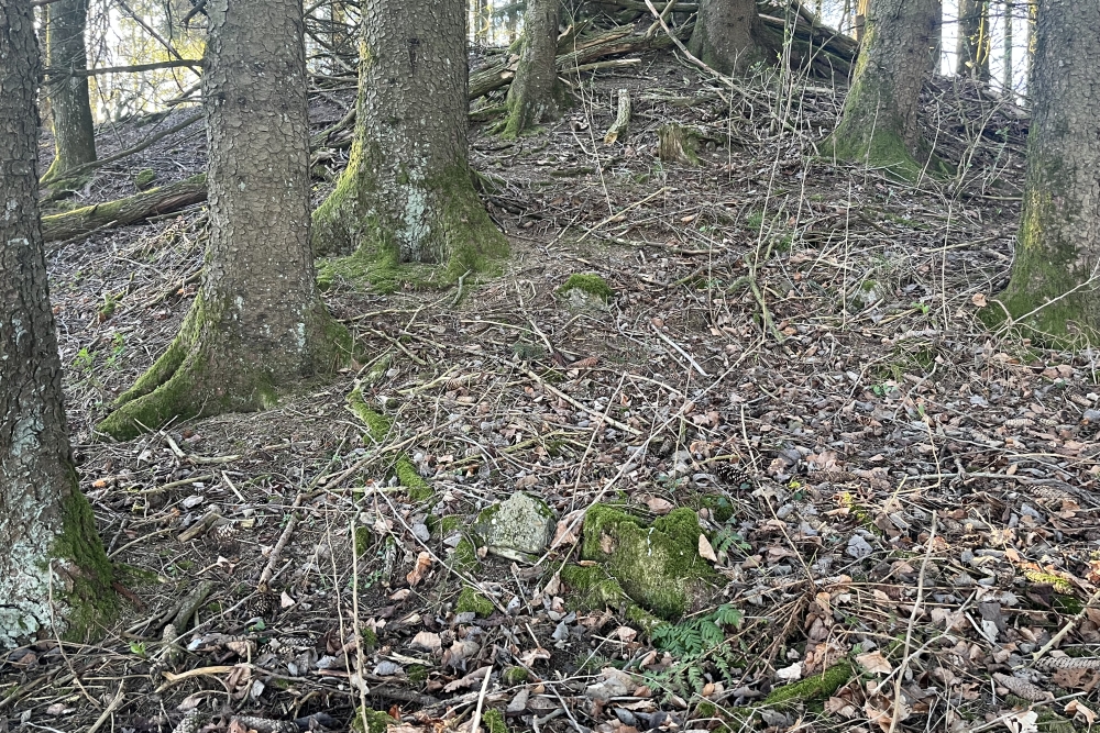 Westwall - Remains Bunker Kehr #3